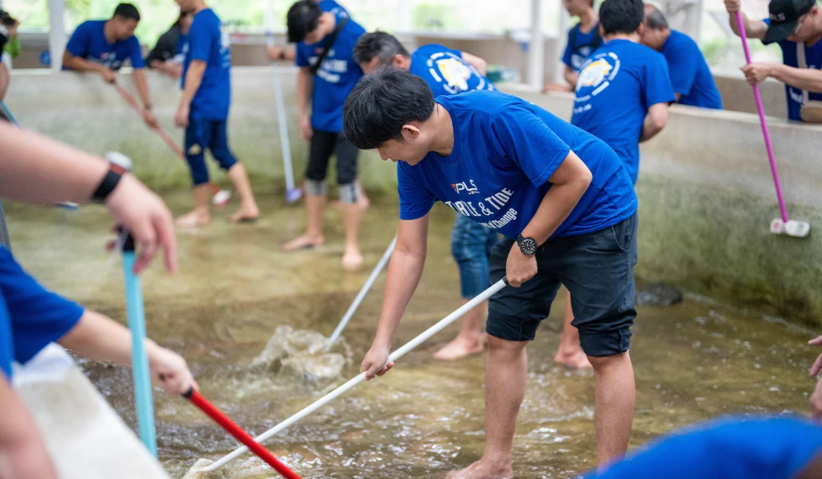VPLS Volunteer Spirit: Caring for the Beach and Protecting Sea Turtles for a Sustainable Future 