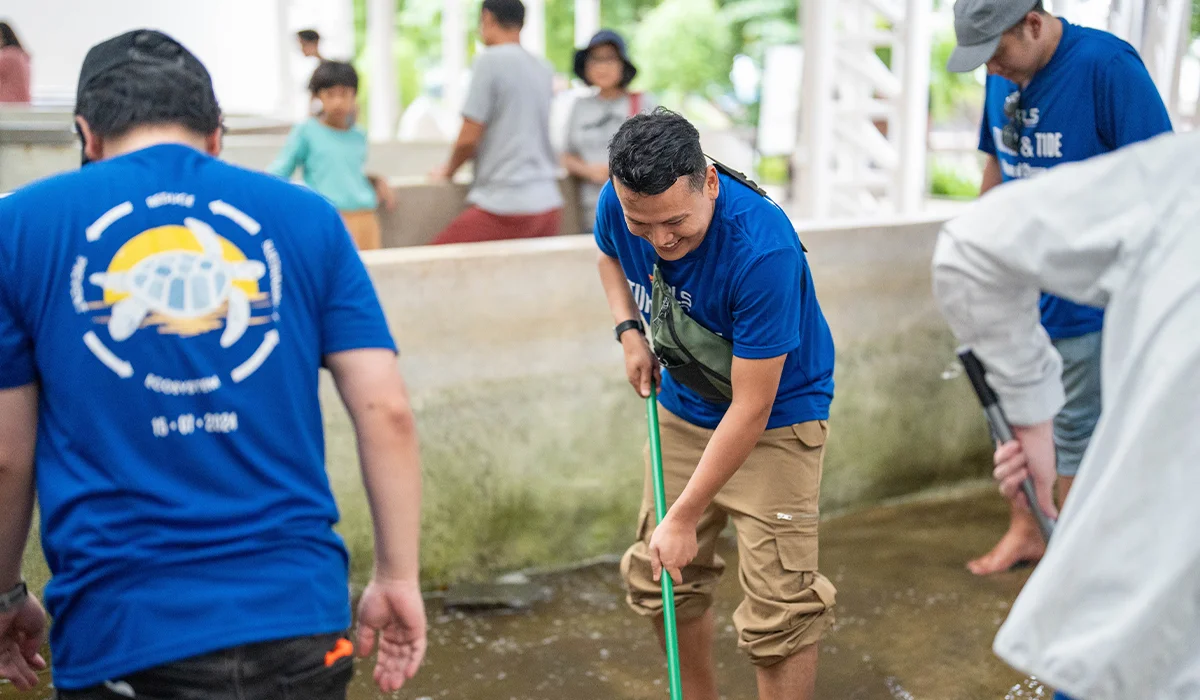 VPLS Volunteer Spirit: Caring for the Beach and Protecting Sea Turtles for a Sustainable Future 