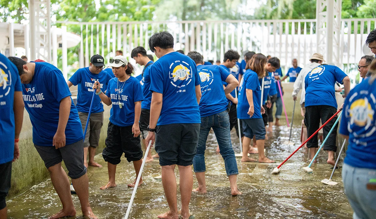 VPLS Volunteer Spirit: Caring for the Beach and Protecting Sea Turtles for a Sustainable Future 