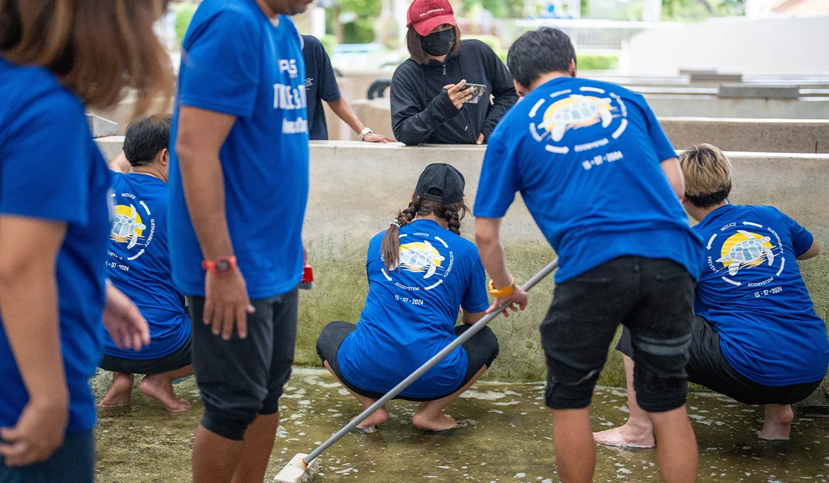 VPLS Volunteer Spirit: Caring for the Beach and Protecting Sea Turtles for a Sustainable Future 