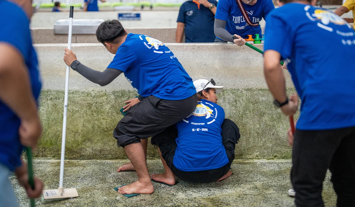 VPLS Volunteer Spirit: Caring for the Beach and Protecting Sea Turtles for a Sustainable Future 
