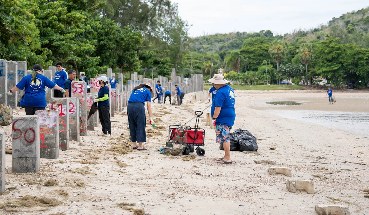 พลังจิตอาสา VPLS: ดูแลชายหาด–อนุรักษ์เต่าทะเลอย่างยั่งยืน 