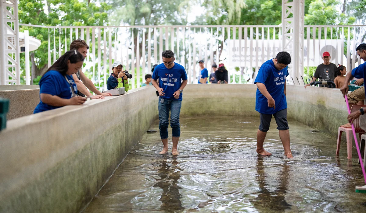 VPLS Volunteer Spirit: Caring for the Beach and Protecting Sea Turtles for a Sustainable Future 